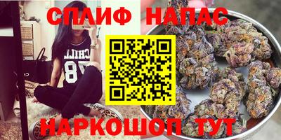 дмт Гудермес