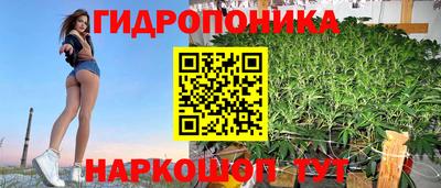 дмт Гудермес