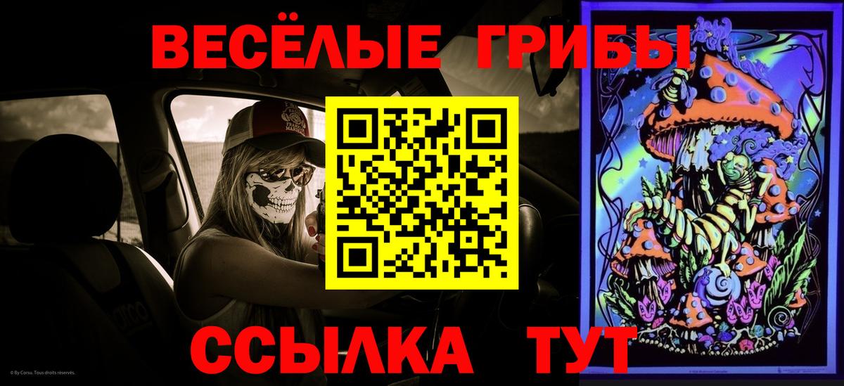 Санкт-Петербург  даркнет сайт  Вход с VPN  Псилоцибиновые грибы Psilocybine cubensis  Псилоцибиновые грибы Psilocybine cubensis 